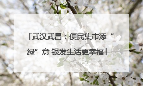武汉武昌：便民集市添“绿”意 银发生活更幸福